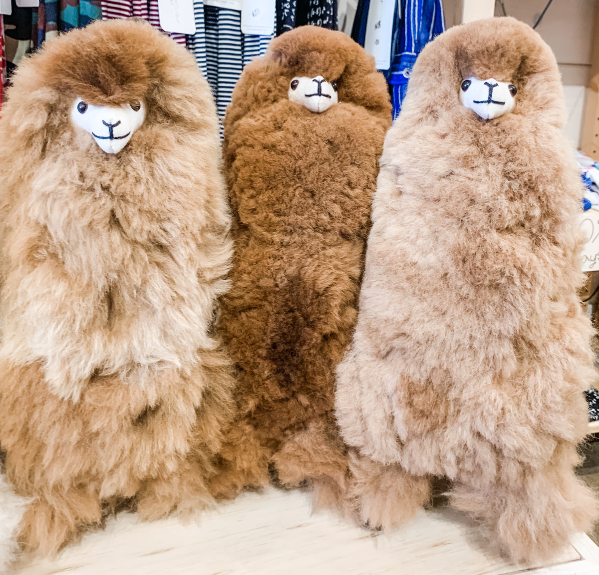 Alpaca Animals– Asher Market Alpaca Animals– Asher Market